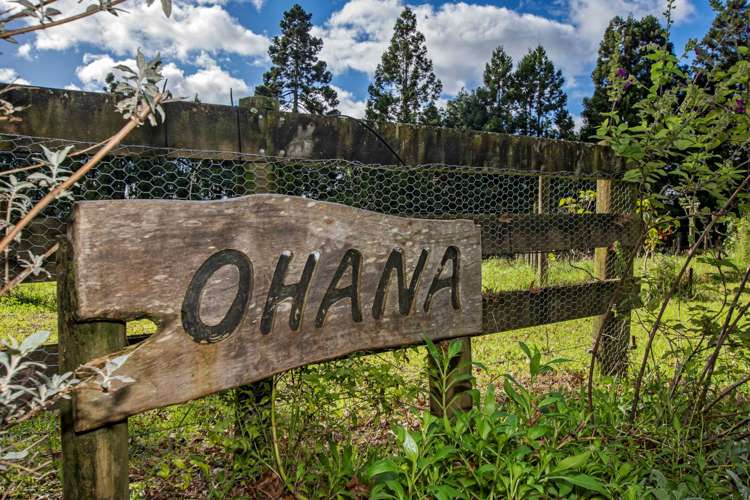 1272 Pipiwai Road Ruatangata_29