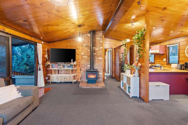 132A Otonga Road Springfield_3
