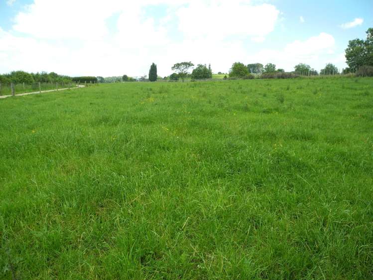 82 Pirongia Road Te Awamutu_12