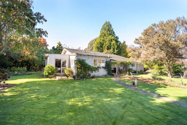 541 Napier Road Mangateretere_2