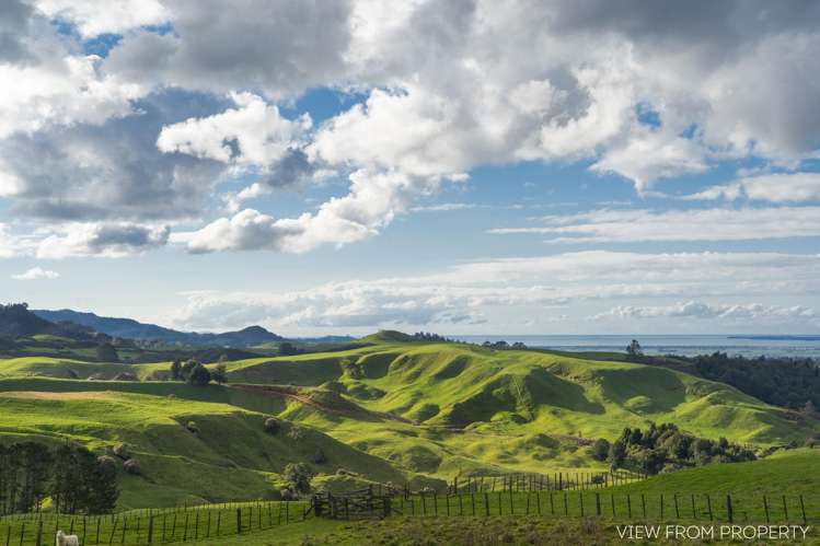 1102 No 2 Road Te Puke_20