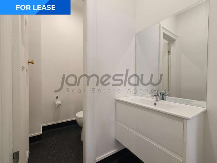 Ground Floor/185 Ponsonby Road Grey Lynn_5