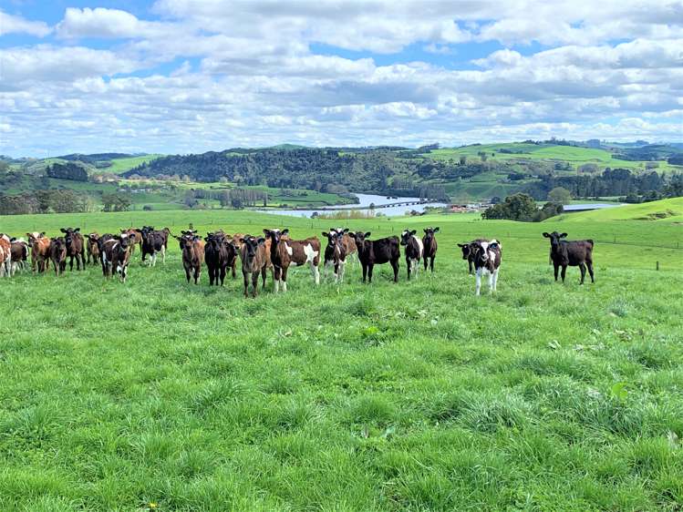 254 State Highway 1 Hauraki Surrounds_7