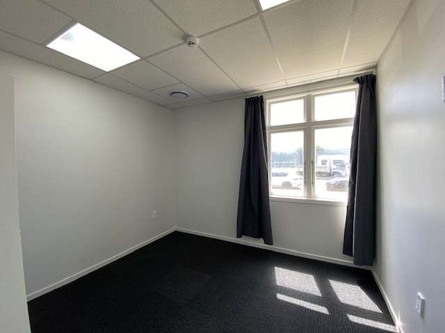 34 Willis Street 10930_4