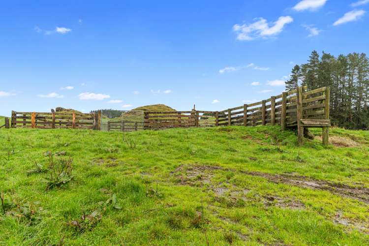 1161 State Highway 5 Hamurana_11