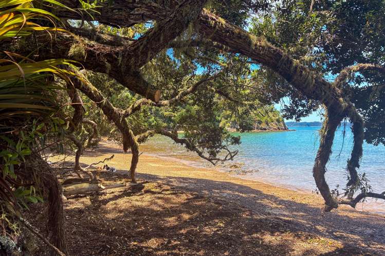 Share 18 Moturoa Island Russell_7