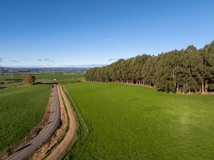 858 Oreipunga Road Maungatautari_11