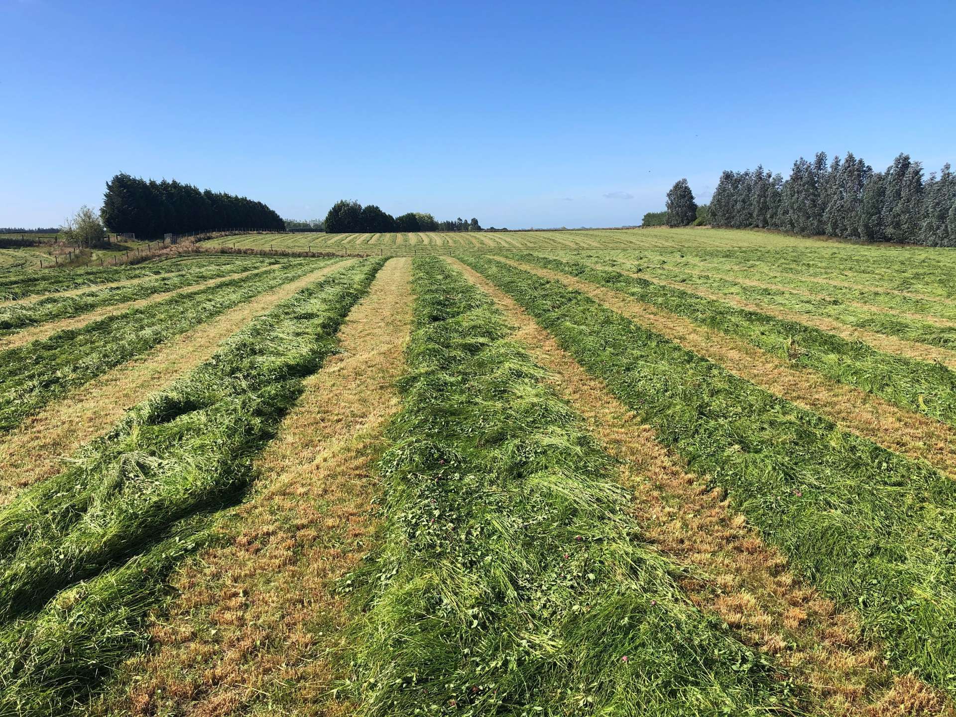 98 Mcintosh Road Otautau Southland Houses for Sale One Roof