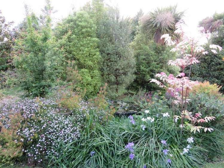 39 Brandon Hall Road Bulls_28