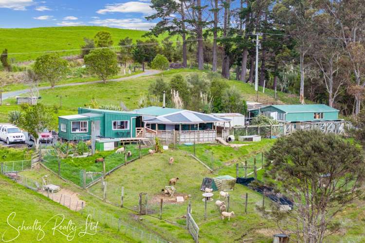 736 Whakapirau Road Whakapirau_38