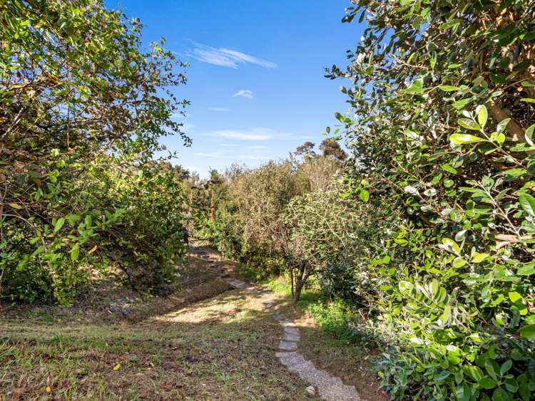 4 Herbert Street Te Aroha_21