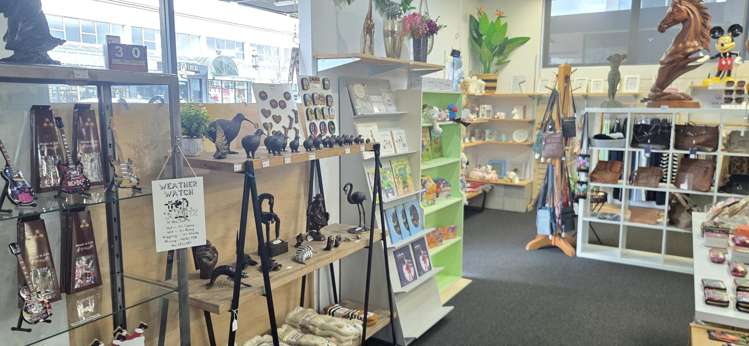 9 Te Heuheu Street Taupo_7