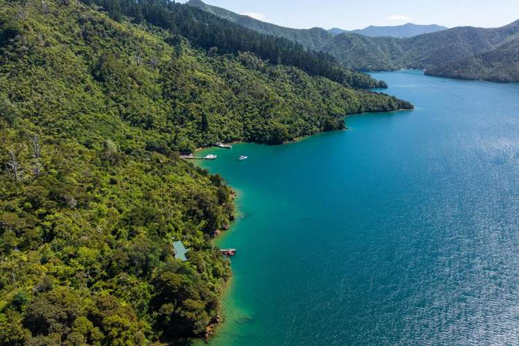 110 Lochmara Bay Marlborough Sounds_15