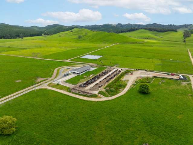 Exceptional Dairy Farm with Options to Scale