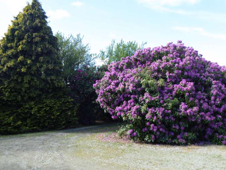 5326 Hampden-Palmerston Road Palmerston_25