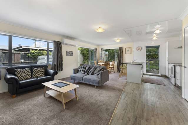 33a Killarney Street Alexandra_3