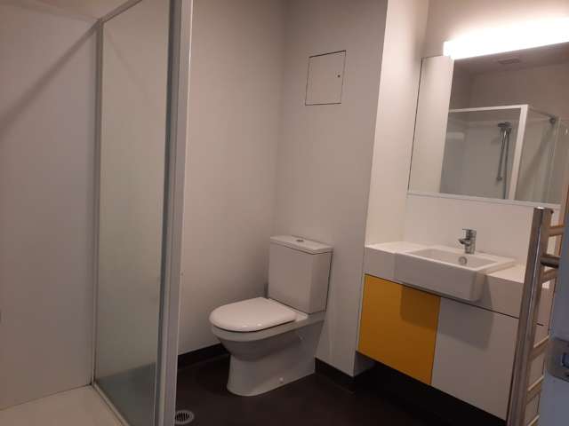 201/5 Dundonald Street 10021_3