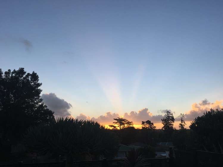 39 Prospect Terrace Pukekohe_10