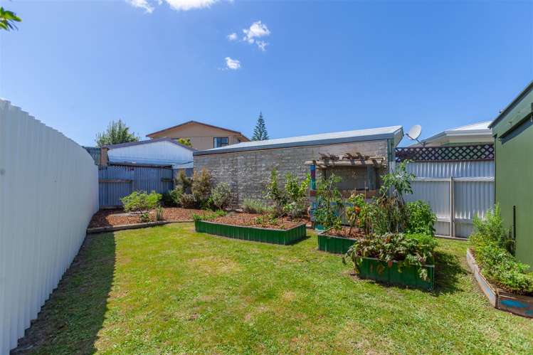 16 Guildford Street Tamatea_8