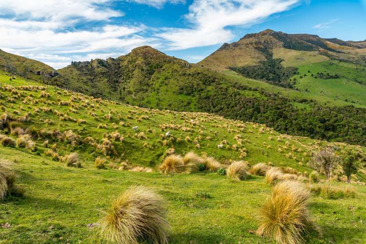 44 Parkinsons Road Ataahua_10