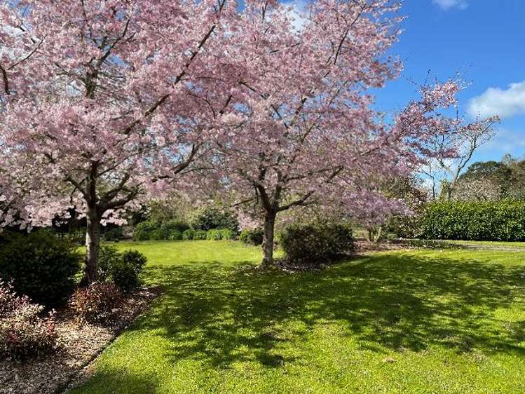 108c Ferguson Road Whatawhata_38