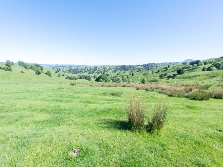 184 Lairdvale Road Taumarunui_22