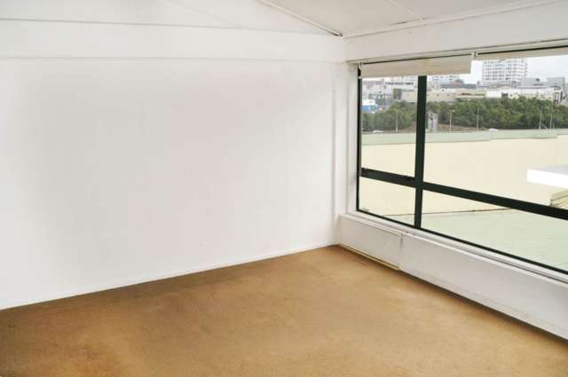 8 Cargill Street Eden Terrace_4