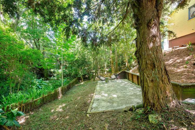 4 McConnell Lane Chartwell_16