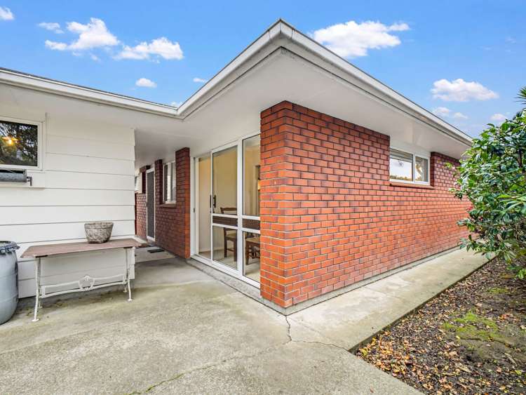 45 Dittmer Drive Awapuni_21