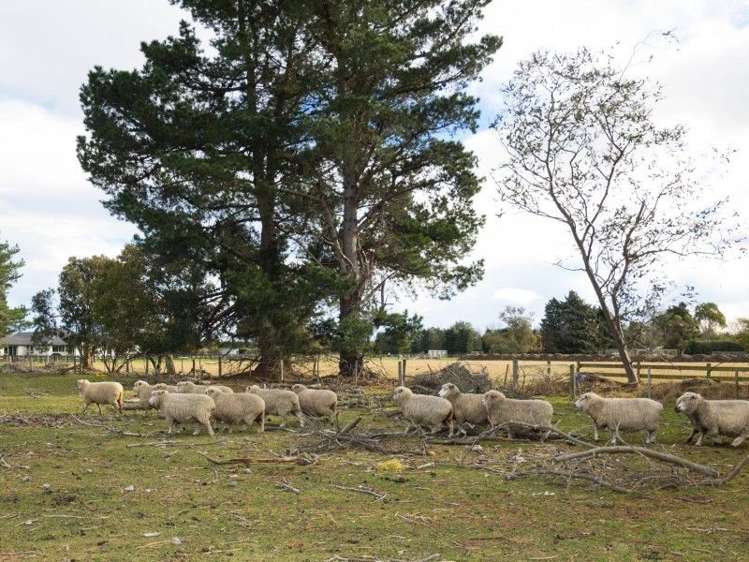 175 Company Road Newland_13