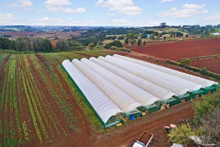 659 Harrisville Road Pukekohe East_5