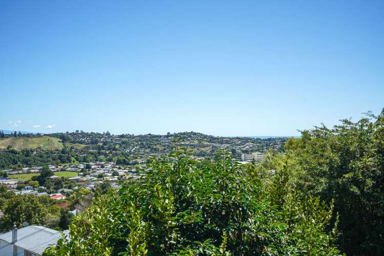 2/17a Brunner Street Nelson South_3