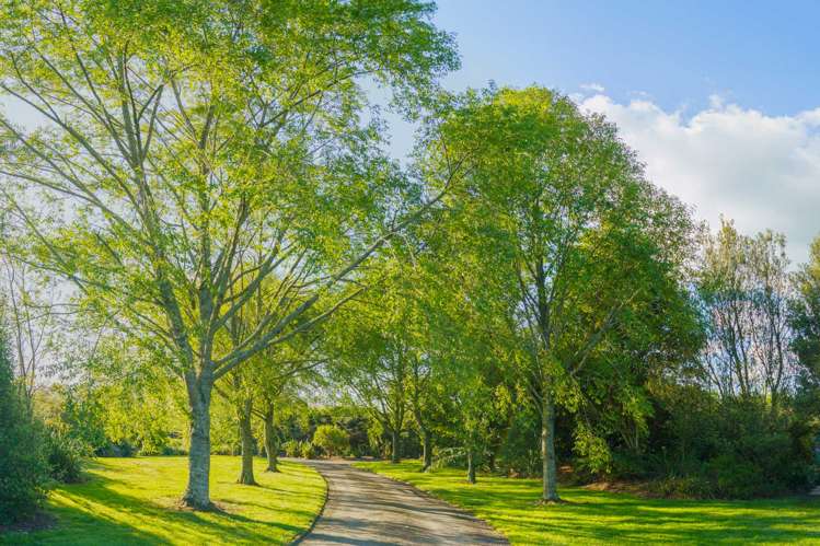 154 Te Pahu Road Te Pahu_8