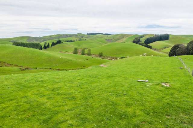 47 Hurunui Mouth Road Domett_1