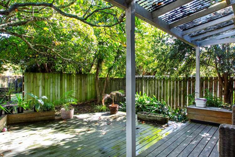 37 Mead Street Avondale_12