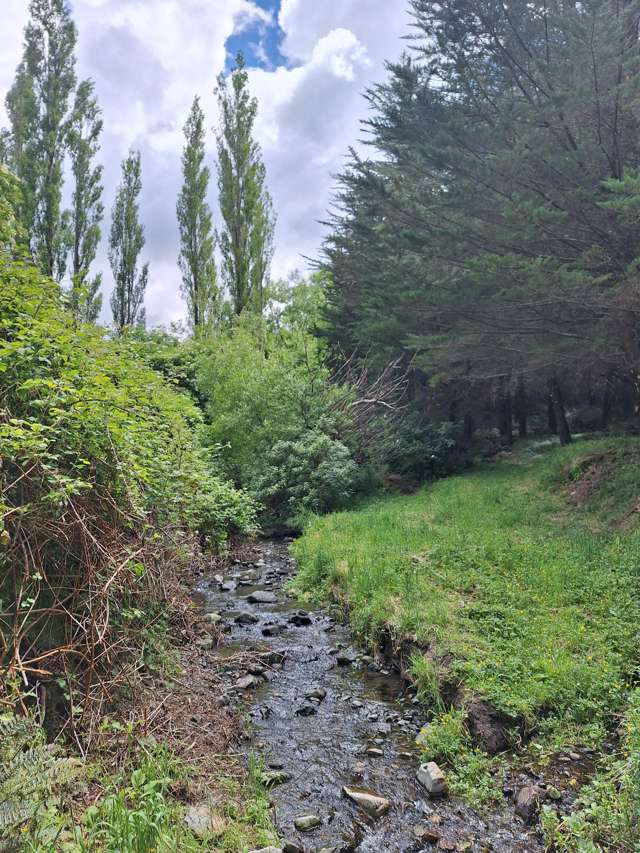 240 Sladdens Bush Road Coopers Creek_4