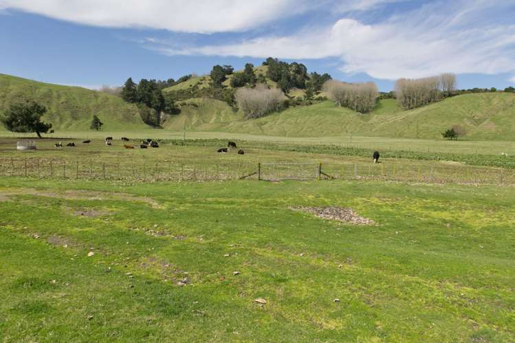 939 Tukairangi Road Acacia Bay_10