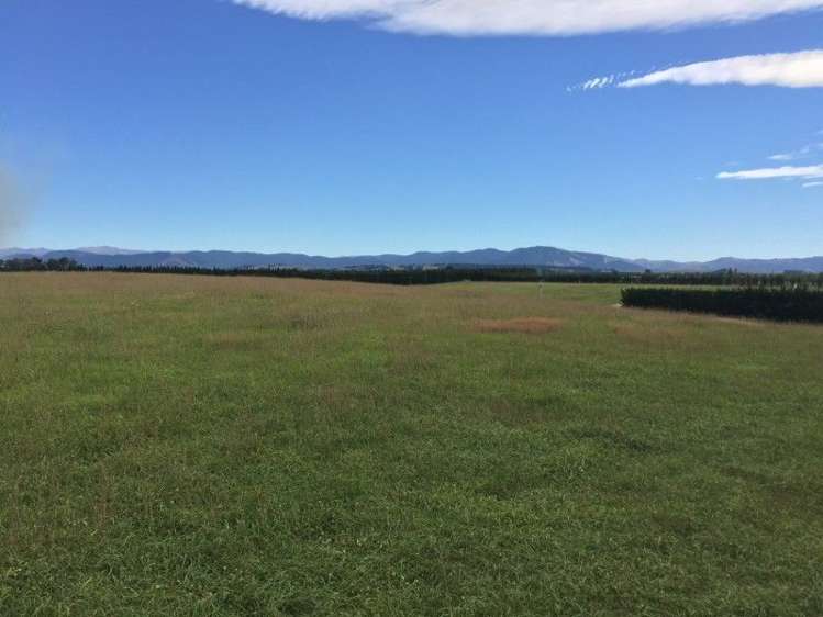 409a Springbank Road Swannanoa_8