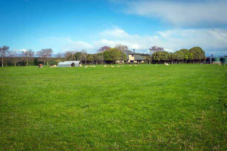 491 Seadown Road Seadown_2