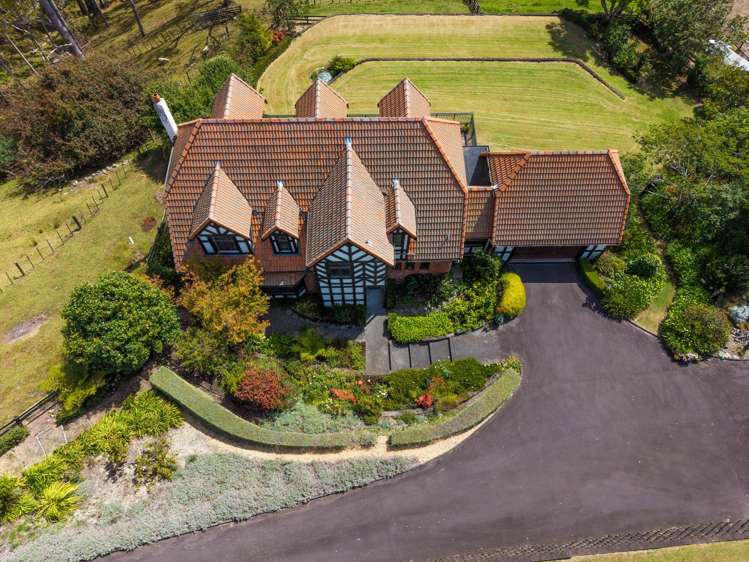 180 Ara-kotinga Whitford_18