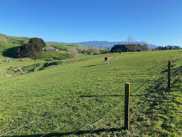 84 Tihiroa Road Otorohanga_15