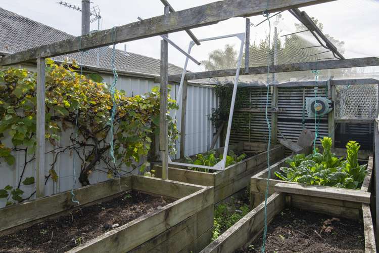 11 Pohutukawa Grove Lytton West_19