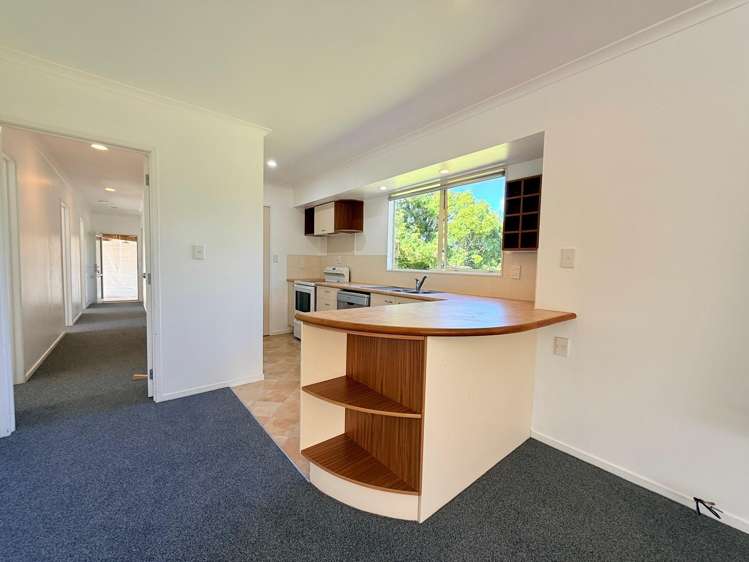 1164 No 3 Road Te Puke_13