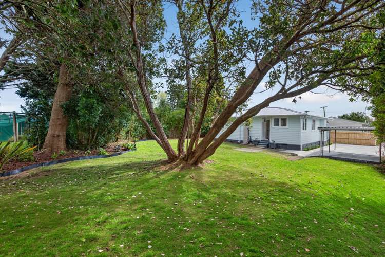 6 Holman Road_1