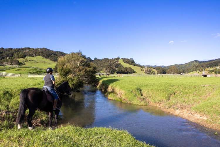 719 Waikare Road Kawakawa_34