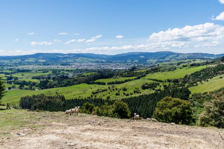 20 Sproull Drive Scroggs Hill_46