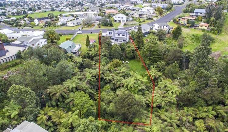 309 The Drive Whangamata_22