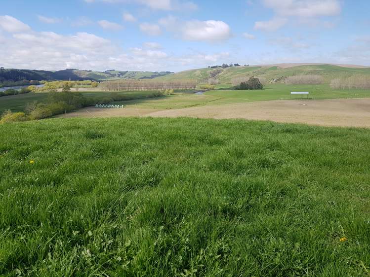 173 Soper Road Clinton and Surrounds_19