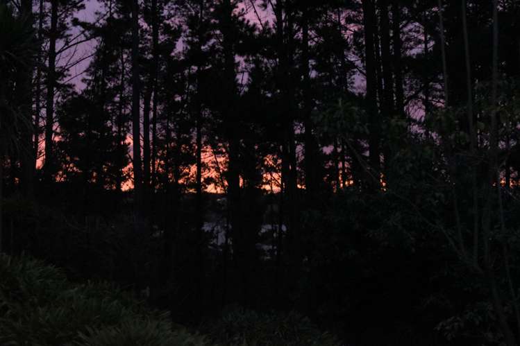 14 Tupelo Place Ohauiti_87