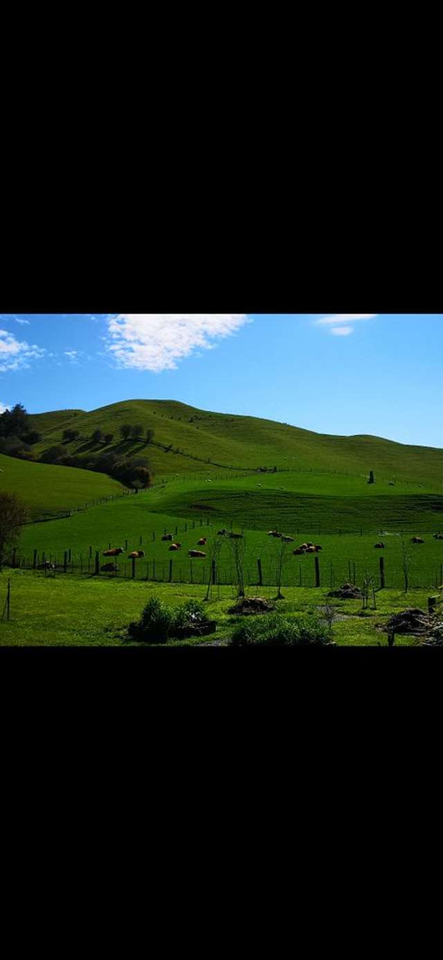 956 Thorpe-Orinoco Road Thorpe_2